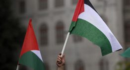 Palestina planta su bandera en la OMS y abre una brecha entre las potencias occidentales
