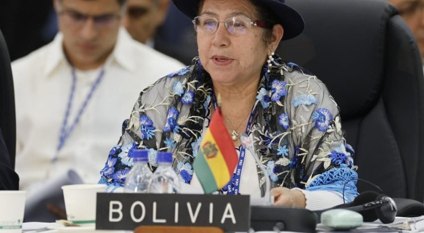 Bolivia alerta ante la OEA que las movilizaciones promovidas por Evo Morales ponen en riesgo las elecciones
