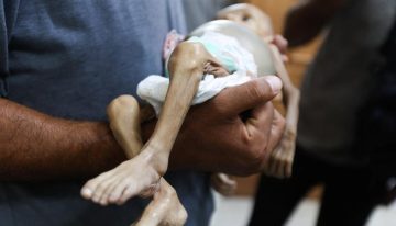 La ONU advierte de que la ayuda humanitaria que entra en Gaza es solo «una gota en un océano»