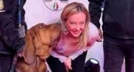 Conmoción en Italia por la muerte de Bruno, el héroe perruno premiado por Meloni que salvó nueve vidas