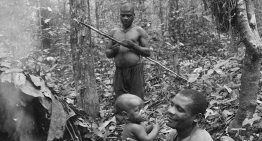 Los baaka:  el corazón que aún late en la selva africana