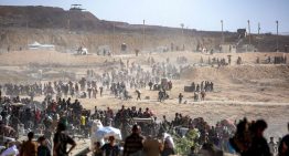 Médicos Sin Fronteras denuncia que los puntos de distribución de ayuda en Gaza son «un espectáculo inhumano»