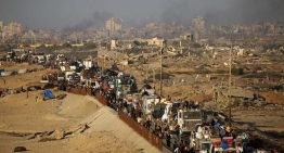 «En el sur de Gaza no hay espacio para más gente»