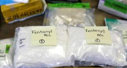 Procesan en Argentina al dueño del laboratorio que produjo el fentanilo mortal