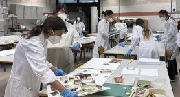 Inteligencia artificial para recuperar los recuerdos perdidos
