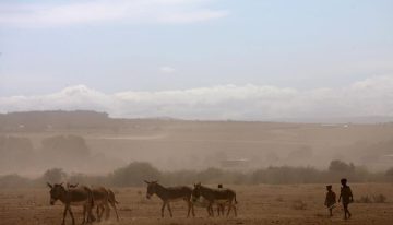 Mueren doce personas tras estrellarse una avioneta turística en Kenia