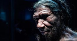 Científicos de Austria revelan migraciones de neandertales entre Europa y Eurasia