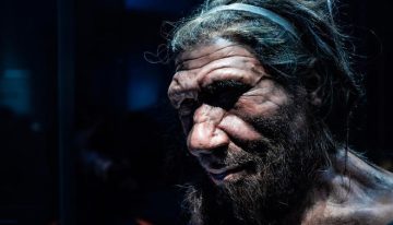 Científicos de Austria revelan migraciones de neandertales entre Europa y Eurasia