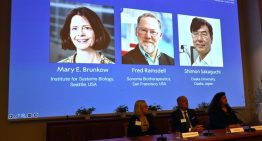 El Nobel de Medicina 2025 premia a los científicos que descubrieron los «guardianes del sistema inmunitario»