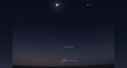 Cometa Lemmon: cuándo y cómo verlo mejor esta noche