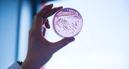 Superbacterias: así es la nueva amenaza mundial que causará más muertes que el cáncer en 2050