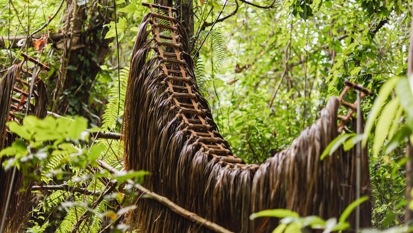 El Yunque se convierte en una galería al aire libre