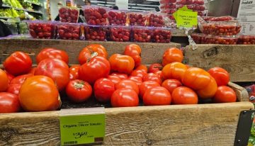 La Nueva York por las nubes que ha encumbrado a Zohran Mamdani