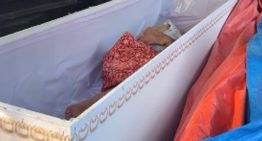 Una mujer dada por muerta despierta dentro de su ataúd al ser trasladada al horno crematorio