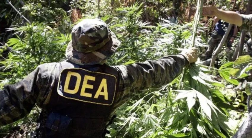 Bolivia reabre la puerta a la DEA para colaborar con Trump en la lucha contra el narcotráfico