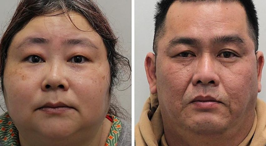 Condenada a 11 años la 'reina cripto', pillada tras convertir 5'5 millones de euros de su estafa piramidal en bitcoins