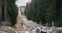 Pantanos, árboles y maleza: Finlandia levanta un muro natural frente a Rusia