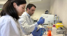 Una investigación demuestra el papel clave de la microbiota en la respuesta a la terapia CAR-T