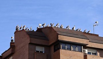 Probamos el Realme GT8 Pro Aston Martin: un móvil ideal para los videojuegos