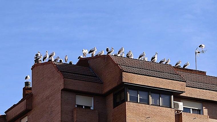 Probamos el Realme GT8 Pro Aston Martin: un móvil ideal para los videojuegos