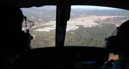 El director del IRTA será el responsable logístico del comité que investigará el origen de la peste porcina en Catalunya