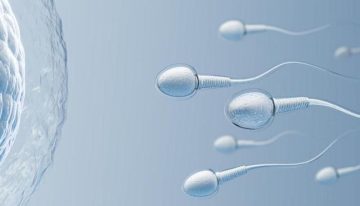 Una dieta vegetariana poco sana empeora la calidad del esperma