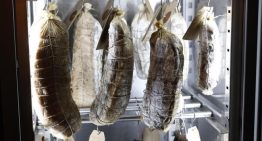 Un estudio italiano halla trazas de peste porcina en embutidos importados de modo ilegal, aunque asegura que ese virus no tiene capacidad de infectar