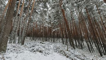 Probamos el Oppo X9 Pro: un móvil para los que no quieren quedarse sin batería