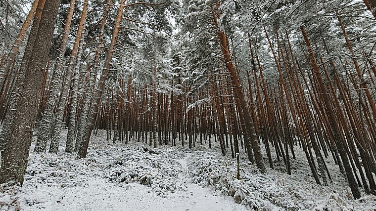 Probamos el Oppo X9 Pro: un móvil para los que no quieren quedarse sin batería