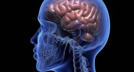 ¿Y si el cerebro no creara la mente? La teoría del neurocientífico español Álex Gómez-Marín tras su experiencia cercana a la muerte