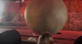 Herido un trabajador de Disney al tratar de frenar una roca decorativa de 180 kilos antes de que impactara contra el público