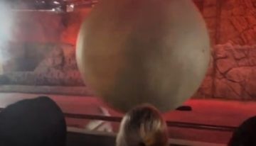 Herido un trabajador de Disney al tratar de frenar una roca decorativa de 180 kilos antes de que impactara contra el público