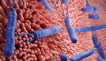 La modificación de un antibiótico común podría mejorar hasta 60 veces el tratamiento frente al 'Helicobacter pylori'