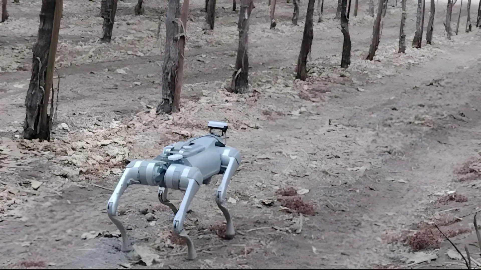 Este perro robot ayuda a los agricultores a monitorizar las cosechas en tiempo real gracias a la IA