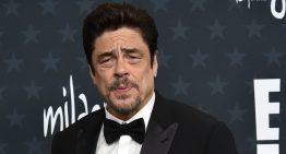 Benicio del Toro, a horas de los Oscar: “Ganar o perder no cambia nada”