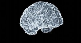 Ibudilast, así es el fármaco que ya está aprobado para el asma y podría frenar la metástasis cerebral