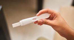 Un estudio del CSIC concluye que la dieta mediterránea y la microbiota vaginal influyen en el éxito de la inseminación artificial