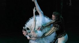 El hechizo de “El lago de los cisnes” regresa a Puerto Rico