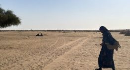 Emiratos envía mercenarios colombianos a Sudán en apoyo de los rebeldes