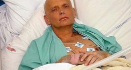 Venenos sin antídoto por 300 euros: una red mortal se extiende por Europa desde Polonia