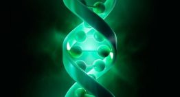 Una nueva herramienta podría identificar nuevas dianas terapéuticas en enfermedades complejas como el cáncer