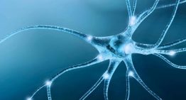 Una neuropediatra destaca la importancia del diagnóstico precoz del autismo en el desarrollo infantil