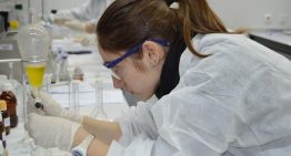 Google creará una IA para acelerar los descubrimientos científicos: «Es para ayudar a los investigadores, no para reemplazarlos»