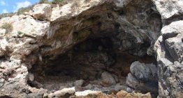 Mariscadas prehistóricas en Murcia: los neandertales ibéricos ya se las apañaban para incluir marisco en su menú hace 115.000 años