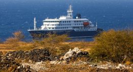 La OMS evacua a los afectados del hantavirus del crucero mientras decide si el barco va a Países Bajos o a Canarias