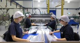 Uno de cada cinco trabajadores con horario rotativo toma hipnóticos para dormir: «Los turnos van a más, urgen respuestas urgentes»