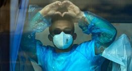 España recibirá favipiravir, un antiviral experimental japonés contra el hantavirus