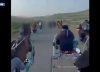 Investigan una carrera clandestina de caballos con disparos de kalashnikov en Sicilia