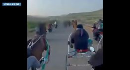 Investigan una carrera clandestina de caballos con disparos de kalashnikov en Sicilia