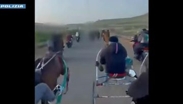 Investigan una carrera clandestina de caballos con disparos de kalashnikov en Sicilia